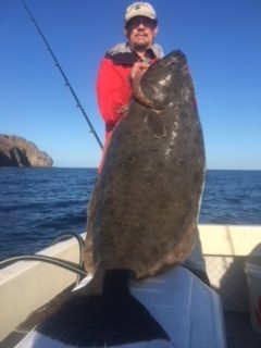 gordon-hali-e1521871568931