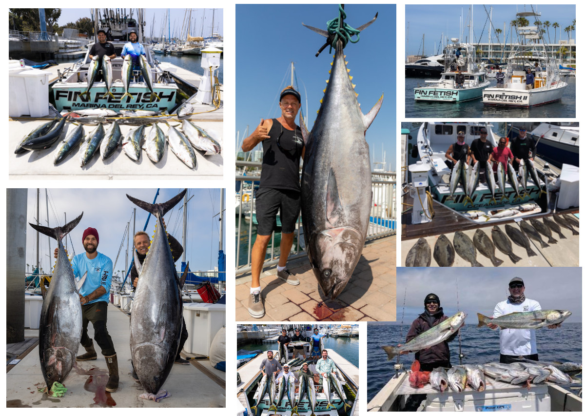 Awesome fishing at Catalina Island with White Seabass, Yellowtail, Halibut and more